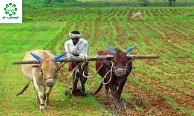 Yojana | शेती कामात अपघात झाल्यास शेतकऱ्यांना मिळणारं 2 लाखांची मदत; जाणून घ्या योजना