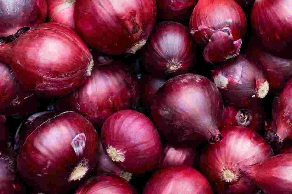 Onion Rates