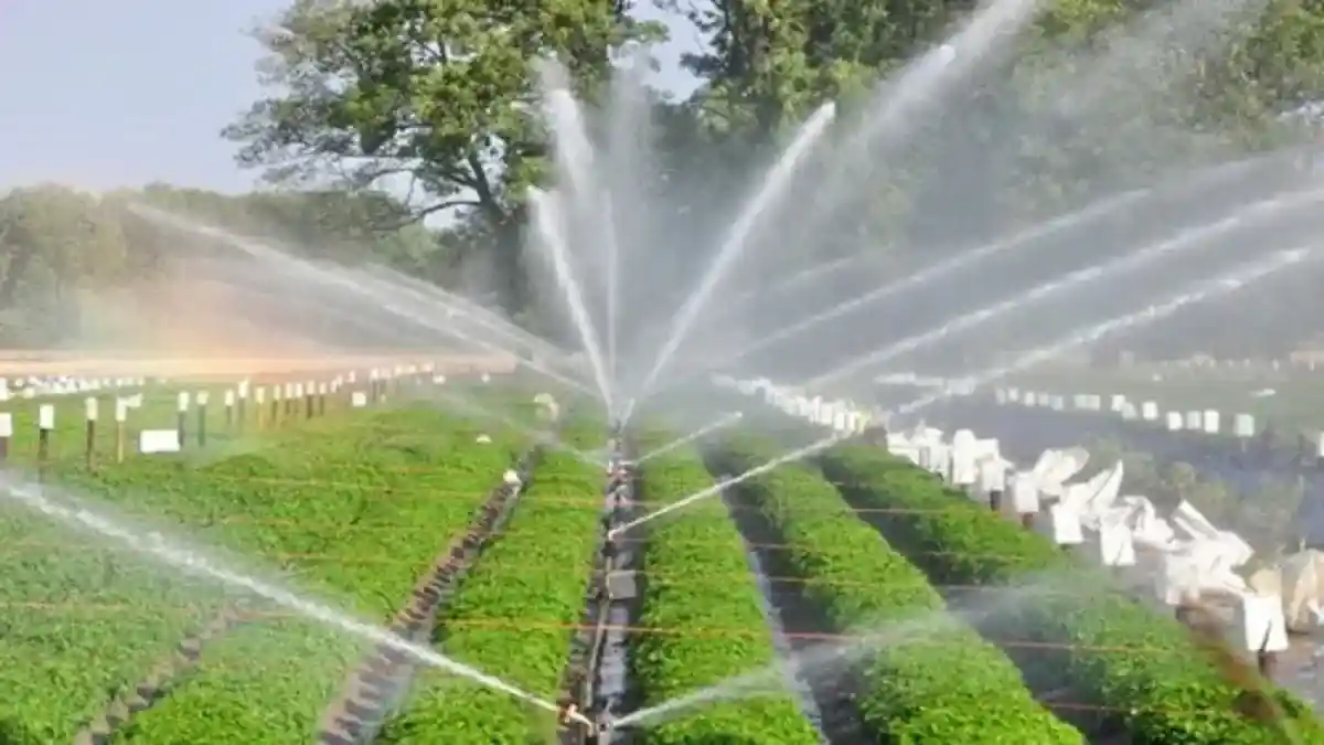 Irrigation Scheme
