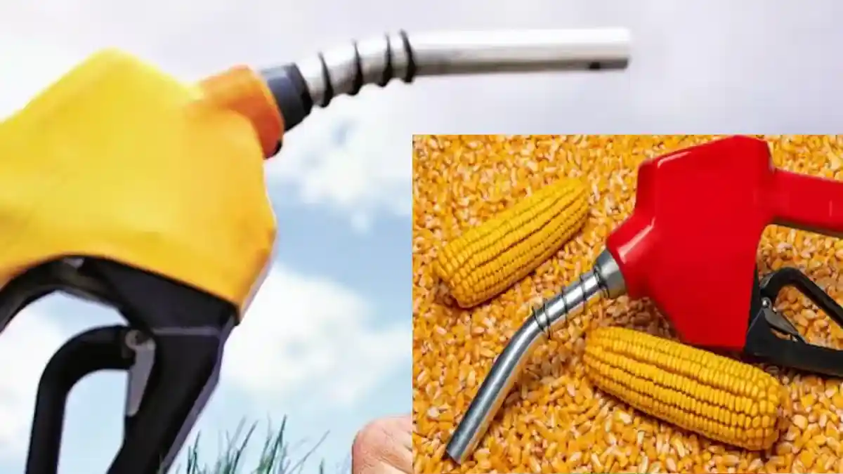 Ethanol From Corn