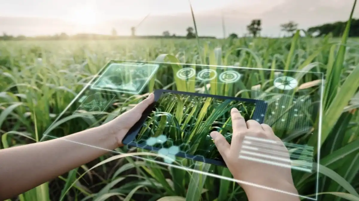 Artificial Intelligence In Agriculture