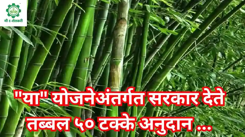 Atal Bambu Samriddhi Yojna