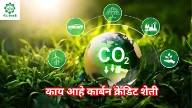 Carbon Credit Farming